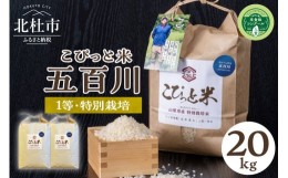 【ふるさと納税】こぴっと米【五百川】20kg　１等特別栽培米100％