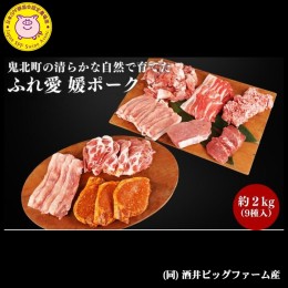 【ふるさと納税】3か月連続お届け 豚肉定期便！鬼北町の清らかな自然で育てた ふれ愛 媛ポーク 約2kg【3回お届け】　【定期便・ お肉 銘