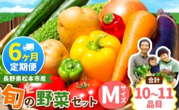 【ふるさと納税】【定期便6回】子育て農家の野菜セット（Mサイズ）農薬・化学肥料不使用 | 長野県 松本市