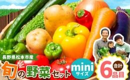 【ふるさと納税】子育て農家の野菜セット（miniサイズ）農薬・化学肥料不使用 | 長野県 松本市