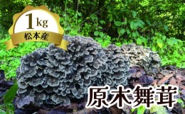 【ふるさと納税】原木まいたけ 1？ |長野県 松本市 信州産 まいたけ きのこ マイタケ 原木 舞茸