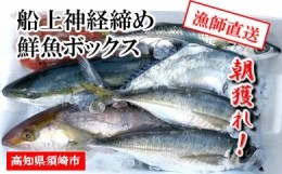 【ふるさと納税】【 船上 神経締め 鮮魚 ボックス 】朝獲れ 直送 大漁コース (2024年06月出荷) 冷蔵 魚種お任せ 水揚げ 海鮮 魚介 産地直