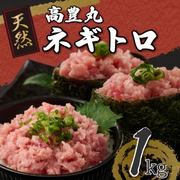 【ふるさと納税】【ふるさと納税】 訳あり ネギトロ 魚 惣菜 1kg (200g×5パック) 高豊丸  高品質 まぐろたたき まぐろのたたき 小分け 