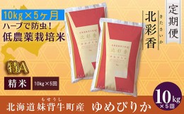 【ふるさと納税】定期便  令和６年産 妹背牛産新米【北彩香（ゆめぴりか）】白米10kg×全５回 3月発送から A011