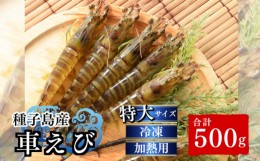 【ふるさと納税】種子島 産 車えび 特大 冷凍 車海老 (250g×2袋) 計500g　NFN553【300pt】 安全 元気 食べ応え抜群 ジャンボサイズ 真空