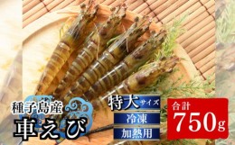 【ふるさと納税】種子島 産 車えび 特大 冷凍 車海老 (250g×3袋) 計750g　NFN552【450pt】 安全 元気 食べ応え抜群 ジャンボサイズ 真空