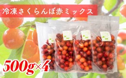 【ふるさと納税】冷凍さくらんぼ 赤ミックス 500g×4パック 北海道 芦別市 大橋さくらんぼ園[?5342-0044]