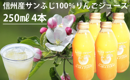 【ふるさと納税】HF02-24E 信州松川産 サンふじ100％りんごジュース250ml×4本セット（減農薬栽培）// 長野県 南信州 サンふじ 減農薬栽