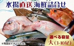 【ふるさと納税】中泊水揚直送 海鮮詰合せ 大 （3〜10尾程度） ※下処理済み 【徐福の里物産品直売所】 旬 詰め合わせ 魚 海鮮 ウスメバ