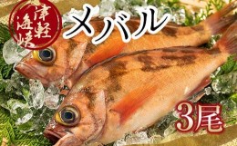 【ふるさと納税】小泊港水揚げ 津軽海峡メバル 姿3尾 ※下処理済み 【卓立水産】魚 海鮮 ウスメバル メバル めばる 津軽海峡 1尾 丸ごと 