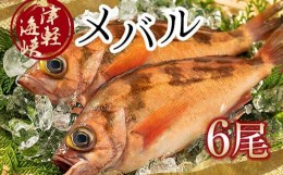 【ふるさと納税】小泊港水揚げ 津軽海峡メバル 姿6尾 ※下処理済み 【卓立水産】魚 海鮮 ウスメバル メバル めばる 津軽海峡 1尾 丸ごと 