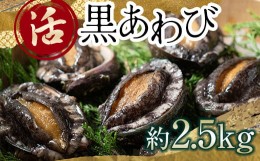 【ふるさと納税】中泊直送 天然 ”活” 黒あわび 約2.5kg 【卓立水産】貝 海鮮 津軽海峡 アワビ 鮑 天然 産地直送 海産 魚貝 魚介 中泊町