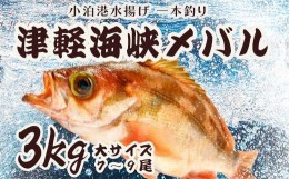 【ふるさと納税】小泊港水揚げ 一本釣り 津軽海峡メバル 約3kg（7尾〜9尾入） 【卓立水産】魚 海鮮 ウスメバル メバル めばる 高級 海産