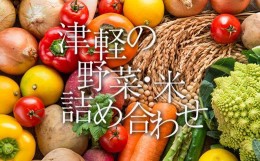 【ふるさと納税】津軽のお米 5kg＆季節の野菜詰合せ 【中泊町特産物直売所ピュア】旬の野菜 旬野菜 旬 新鮮 食品 グルメ  野菜 美味しい 