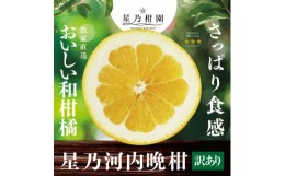 【ふるさと納税】＜訳あり＞星乃みかん園の河内晩柑 (8kg)＜C45-48＞【1339358】