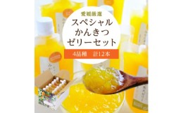 【ふるさと納税】ミヤモトオレンジガーデンの「愛媛選り抜き!スペシャルかんきつゼリー12本セット」＜C25-152＞【1452992】