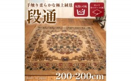 【ふるさと納税】絨毯 ラグマット 2畳 正方形 200×200 洗える 厚手 キャニオン ベージュ【1253844】