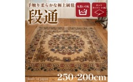 【ふるさと納税】絨毯 ラグマット 3畳 長方形 250×200 洗える 厚手 キャニオン ベージュ【1253868】