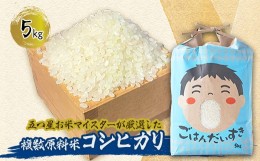 【ふるさと納税】お米マイスターが厳選したお米です|お米 5キロ 〜複数原料米コシヒカリ【1486592】