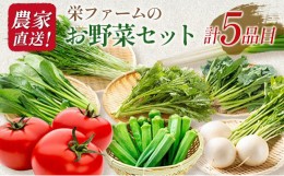 【ふるさと納税】農家直送！栄ファームのお野菜セット