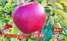 【ふるさと納税】秋映 訳あり品 約5kg