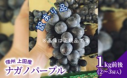 【ふるさと納税】訳あり ナガノパープル 1kg前後