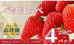 【ふるさと納税】極上 紅ほっぺ 計1kg ( 約250g × 4 ) いちご イチゴ 苺 べにほっぺ フルーツ 旬 果物 採れたて 12000円 1万2千円 ショ