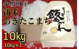 【ふるさと納税】小坂の恵み（中村さん家の新米あきたこまち10ｋｇ） 