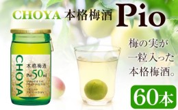 【ふるさと納税】本格梅酒 Pio 飲みきりサイズ 50ml 60本 羽曳野商工振興株式会社《30日以内に出荷予定(土日祝除く)》大阪府 羽曳野市 梅