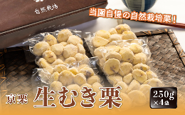 【ふるさと納税】《2024年10月発送》京栗生むき栗 1kg（250g×4袋）【 京都 綾部 丹波栗 自然栽培 農家直送 国産 無農薬 果物 フルーツ 