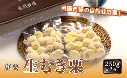 【ふるさと納税】《2024年11月発送》京栗 生むき栗 500g（250g×2袋）【 京都 綾部 丹波栗 自然栽培 農家直送 国産 無農薬 果物 フルーツ