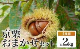 【ふるさと納税】《2024年11月発送》丹波栗 おまかせセット 4種類 約2kg【 数量限定 氷温熟成 栗 2kg 2キロ ぽろたん 石鎚 岸根 このみ 