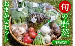 【ふるさと納税】旬の野菜おまかせセット