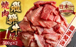 【ふるさと納税】[A5等級] 飛騨牛【訳あり】飛騨牛 焼肉 切り落とし 500g × 2 計 1kg |  牛肉 肉 切落し 和牛 牛肉 肉 わけあり ワケア