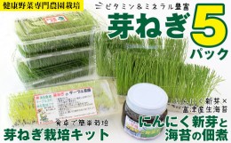 【ふるさと納税】【農薬未使用・無添加】芽ねぎセット（5パック＆栽培キット＆にんにく新芽と海苔の佃煮）