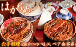 【ふるさと納税】寿司・活魚料理 いそね　はかりめ（穴子）「２色丼」又は「ひつまぶし」ペア食事券