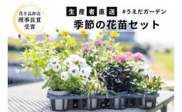 【ふるさと納税】【生産者直送】季節の花苗セット