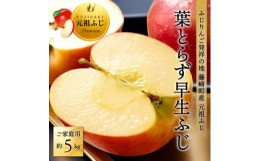 【ふるさと納税】[先行受付] ふじ発祥地産 葉とらず早生ふじ 約5kg ご家庭用【1079160】