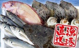 【ふるさと納税】【朝獲れ直送！】天羽漁協　旬の魚介５種セット