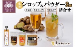 【ふるさと納税】しょうがざんまい　詰合せ（シロップ770ml・パウダー3種　総計330g)