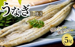 【ふるさと納税】うなぎ白焼き（割き立て・焼き立て）５尾