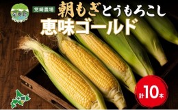 【ふるさと納税】北海道 朝もぎ とうもろこし 恵味 ゴールド 10本 トウモロコシ コーン スイートコーン イエローコーン 黄色 とうきび も