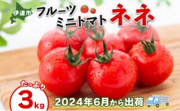 【ふるさと納税】[?5525-0524] 北海道産 ミニトマト ネネ 約3kg フルーツトマト 幻の 高糖度 ジューシー プチ トマト 甘い 濃厚 彩り 鮮