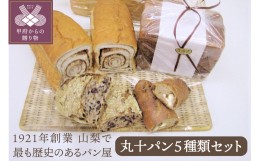 【ふるさと納税】丸十パン5種類セット