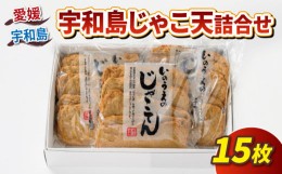 【ふるさと納税】じゃこ天 15枚 井上蒲鉾本舗 手押しじゃこ天 小魚 すり身 練り物 冷蔵 惣菜 フライ おでん 具 出汁 だし 小分け 酒 おつ