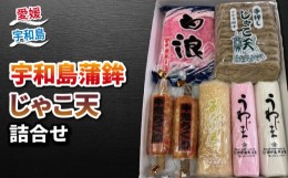 【ふるさと納税】宇和島  蒲鉾 じゃこ天 詰め合わせ 田中蒲鉾本店 ちくわ 揚巻 けずり蒲鉾 はらんぼ すり身 練り物 冷蔵 惣菜 フライ お