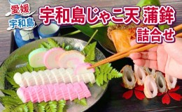 【ふるさと納税】じゃこ天 蒲鉾 詰め合わせ 亀井蒲鉾 フワっ天 小巻 ちくわ 竹輪 はらんぼ すり身 練り物 冷蔵 惣菜 フライ おでん 具 出