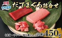 【ふるさと納税】だてまぐろ 詰め合わせ 赤身 150g 1柵  中トロ 150g 1柵 切落し 75g 2パック 辻水産 マグロ 本マグロ 鮪 トロ 刺身 お刺