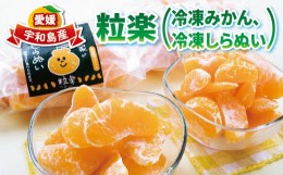 【ふるさと納税】冷凍 みかん 2袋 冷凍 しらぬい 1袋 各500g 粒楽 皮なし 冷凍みかん 冷凍フルーツ 南四国ファーム 蜜柑 不知火 デザート