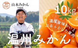 【ふるさと納税】愛媛 みかん 南柑20号 10kg 家庭用 山本みかん 温州みかん 予約受付  温州 蜜柑 果物 フルーツ 柑橘 国産 宇和島 産地直